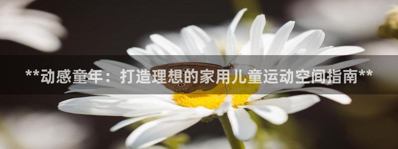 意昂体育3：**动感童年：打造理想的家用儿童运动空间