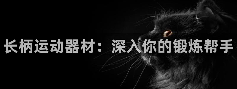 意昂体育3注册：长柄运动器材：深入你的锻炼帮手