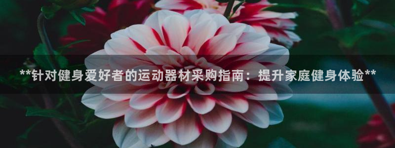 意昂体育3平台APP：**针对健身爱好者的运动器材采