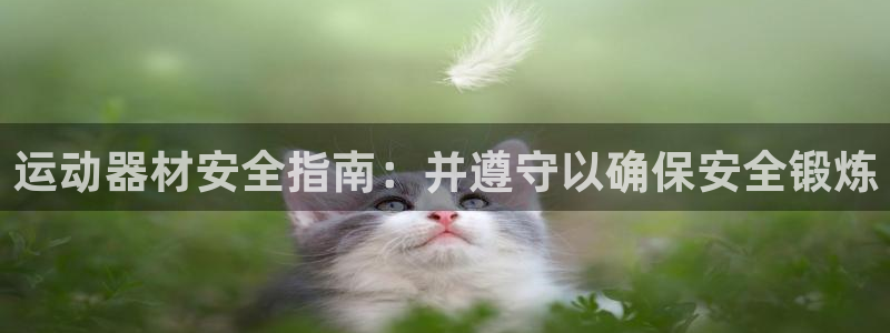 意昂体育3平台：运动器材安全指南：并遵守以确保安全锻炼