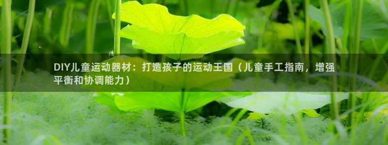 意昂3新能源：DIY儿童运动器材：打造孩子的运动王国