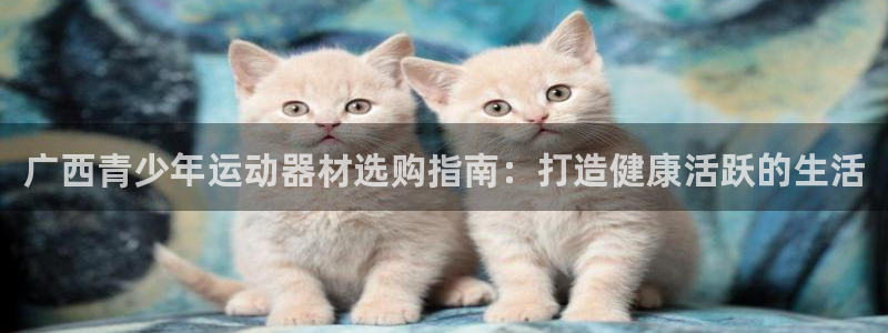 意昂3五金厂