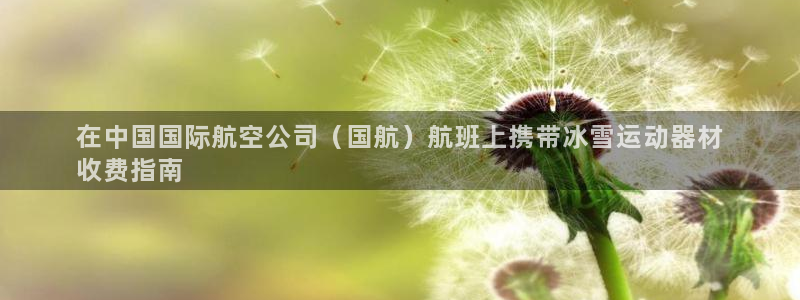 意昂3集团logo：在中国国际航空公司（国航）航班上携带冰雪