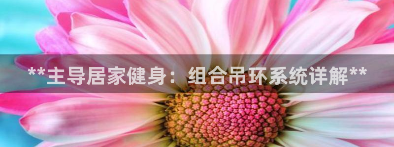 意昂体育3注册：**主导居家健身：组合吊环系统详解**