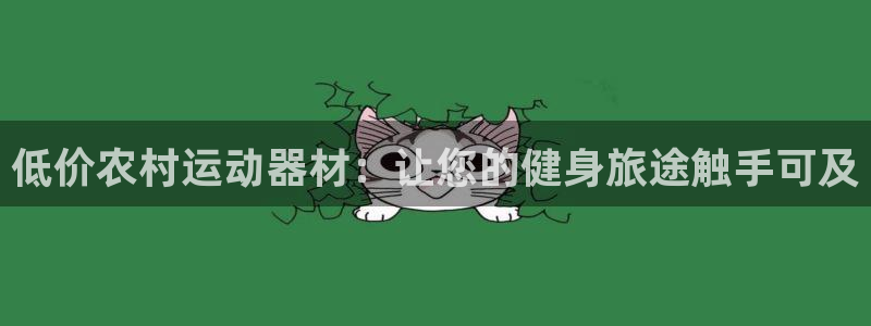 德国意昂3集团：低价农村运动器材：让您的健身旅途触手