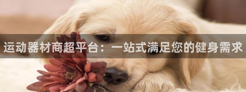 意昂体育3招商电话号码