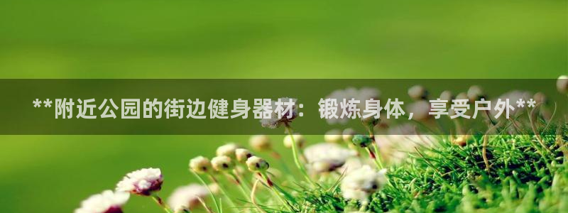 意昂体育3娱乐：**附近公园的街边健身器材：锻炼身体，享受户