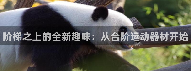 注册意昂3