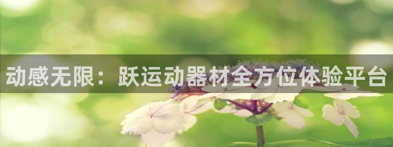 意昂3集团logo