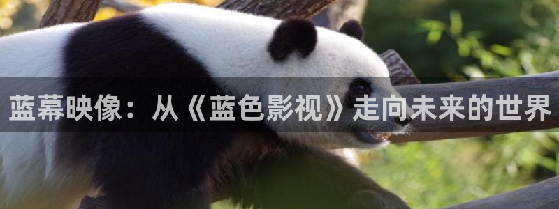 迅播影院播放器下载