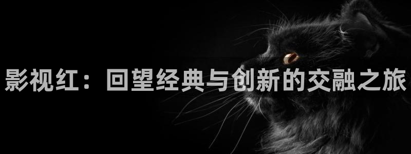迅播影院下载