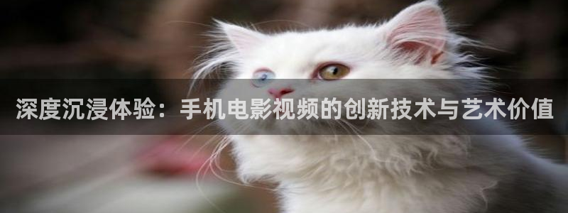 迅播影院