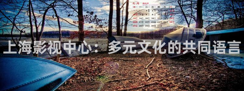 www.迅播影院