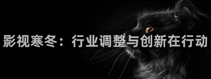 迅播影院手机版
