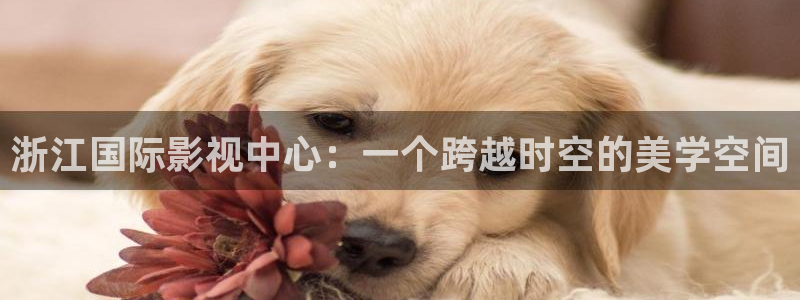 www.迅播影院
