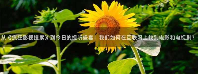 迅播影院